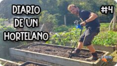 Privado: [ID: 5TNnP-rTprU] Youtube Automatic