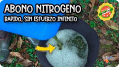 Privado: [ID: aFQiCccy1bU] Youtube Automatic