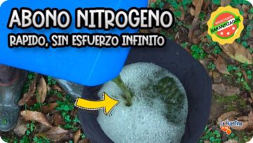 Privado: [ID: aFQiCccy1bU] Youtube Automatic
