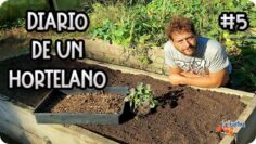 Privado: [ID: ah9AI4qUEsk] Youtube Automatic