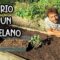 Privado: [ID: ah9AI4qUEsk] Youtube Automatic