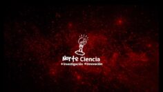 Privado: [ID: Cs_6oSGzdAA] Youtube Automatic