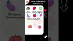 Privado: [ID: DIykmdLhwDk] Youtube Automatic