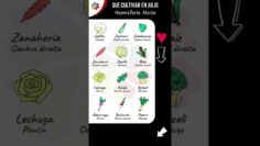 Privado: [ID: ia_xQOtkAnc] Youtube Automatic