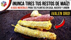 Privado: [ID: jlMMyaTkd8o] Youtube Automatic