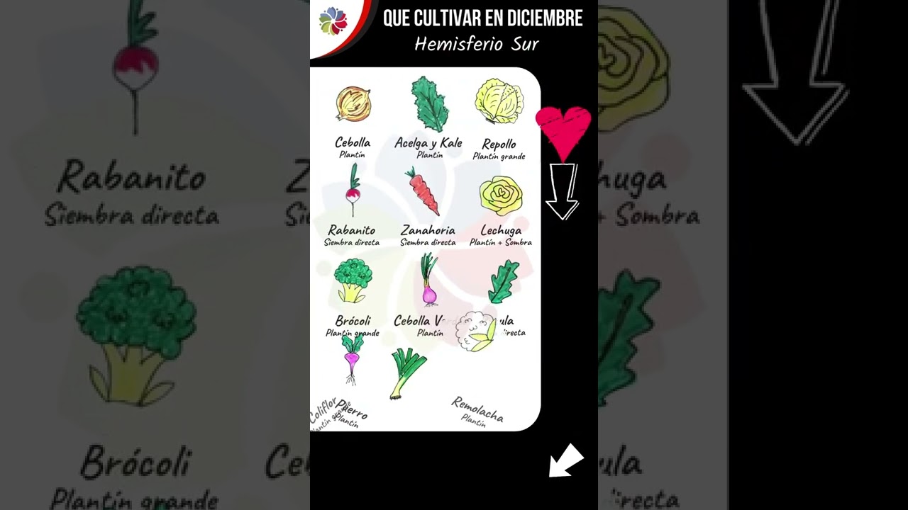 Precargar imagen