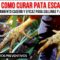 Privado: [ID: MqZVEsSCsm0] Youtube Automatic