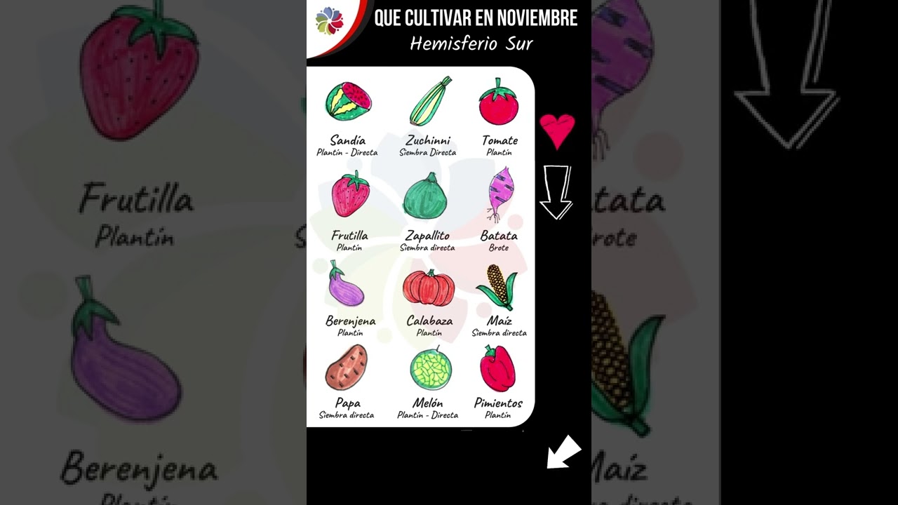 Precargar imagen