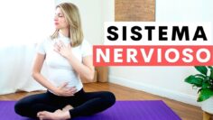 Privado: [ID: QXlaHed-YD8] Youtube Automatic