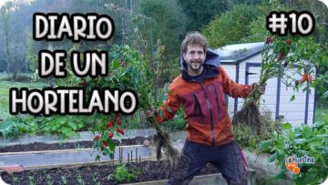 Privado: [ID: sxTtygmweL8] Youtube Automatic