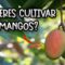 Privado: [ID: v8TqfW0Fx8M] Youtube Automatic
