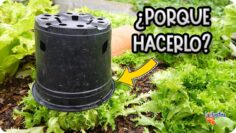 Privado: [ID: vK6YreHvRDY] Youtube Automatic