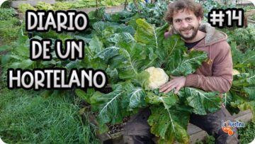 Privado: [ID: vTrjyqOvdw8] Youtube Automatic