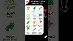 Privado: [ID: XiGesYqcek8] Youtube Automatic