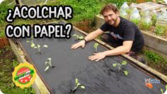 Privado: [ID: zdcblUQ0EuM] Youtube Automatic