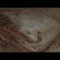 [ID: 02Y8CkjY7z4] Youtube Automatic