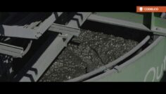 [ID: 1vrVadCM57E] Youtube Automatic