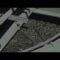 [ID: 1vrVadCM57E] Youtube Automatic