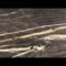 [ID: 3dmgZV9oUxg] Youtube Automatic
