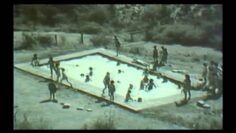 [ID: 3ui-CVJZoK0] Youtube Automatic