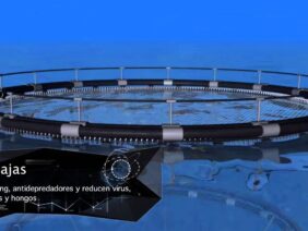 [ID: 4NYBUdB5DW0] Youtube Automatic