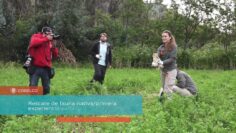 [ID: 7faJ0w2aC0E] Youtube Automatic