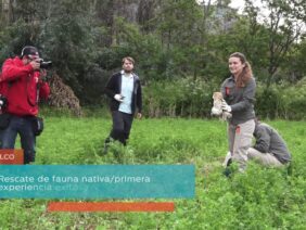 [ID: 7faJ0w2aC0E] Youtube Automatic