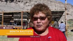 [ID: 8FZxj8–nJE] Youtube Automatic