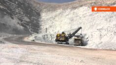 [ID: 8qr3rSARF80] Youtube Automatic