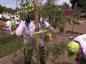 [ID: -9Q1ecoxmw8] Youtube Automatic