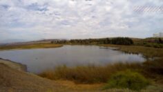 [ID: AaZAWnOfPc4] Youtube Automatic