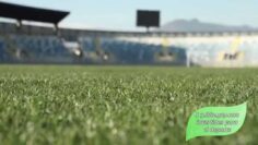 [ID: bkP9rlqx86s] Youtube Automatic