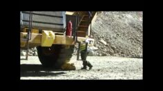 [ID: c3jBMXm4ylM] Youtube Automatic