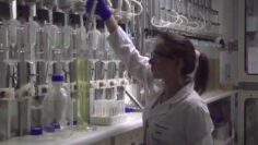 [ID: eNXnwLV_kec] Youtube Automatic