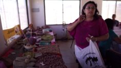 [ID: hr4QLgD_PMA] Youtube Automatic