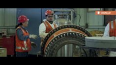 [ID: hzfrpG8ca30] Youtube Automatic