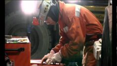 [ID: i8Qe3NLS-VY] Youtube Automatic