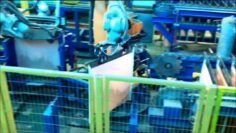 [ID: IQRWQ-qCAto] Youtube Automatic