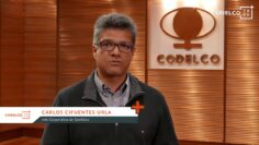 [ID: M8EUPGZaHnA] Youtube Automatic