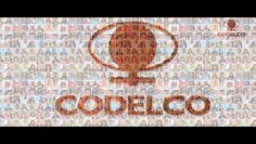 [ID: Njfj9bFbt6g] Youtube Automatic