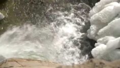 [ID: nlB4cSoMVBo] Youtube Automatic