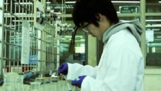 [ID: o0_cTSOU278] Youtube Automatic