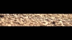 [ID: PbGmbat5ptM] Youtube Automatic