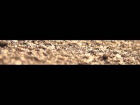 [ID: PbGmbat5ptM] Youtube Automatic