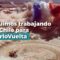 [ID: Pvudy0pQ4nc] Youtube Automatic