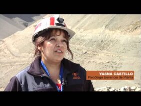 [ID: PwrVtCiyUUY] Youtube Automatic