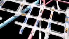 [ID: RPJql8RFRKU] Youtube Automatic