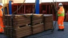 [ID: rP_QFHJWSy8] Youtube Automatic