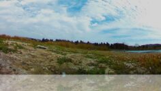 [ID: SjvOEJ8EYCs] Youtube Automatic