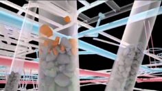 [ID: TKKyA0wjbsI] Youtube Automatic